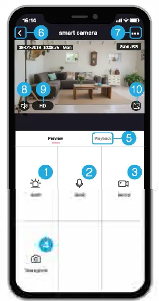 main function details