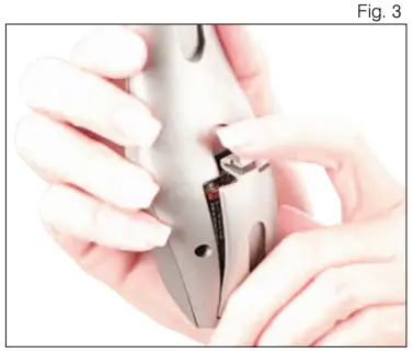 Fig. 3