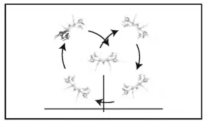 PROMARK P70-VR Virtual Reality Drone - FUNCTION