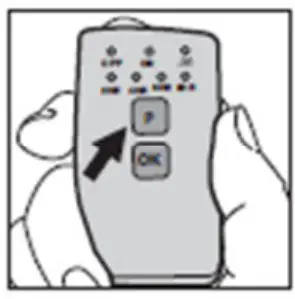 Program Instructions