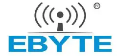EBYTE E78-900M22S1A logo