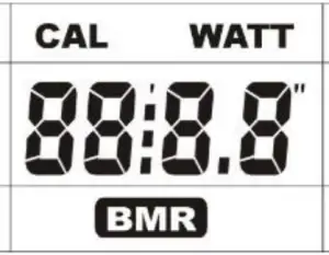 CAL WATT BMR