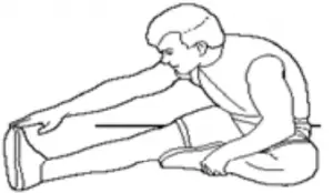 EXERCISE - Hamstring Stretch