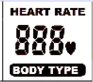 HEART RATE BODY TYPE