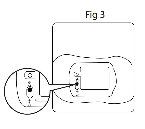 BABY-born-831168-My-Cute-Horse-3