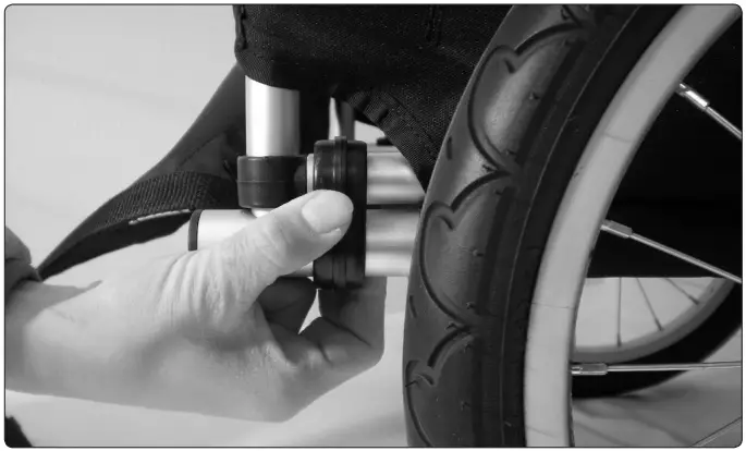 BURLEY cargo Nomad and Flatbed Photo 2