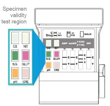 Abbott A2622.V3 Surestep Multi Drug Screen Cup-12