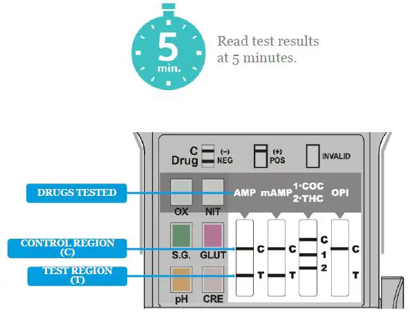 Abbott A2622.V3 Surestep Multi Drug Screen Cup-14