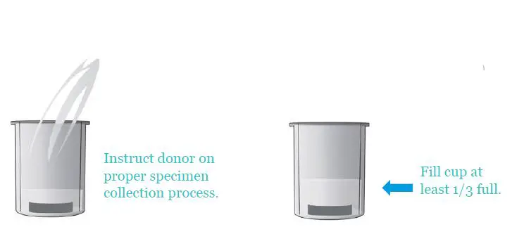 Abbott A2622.V3 Surestep Multi Drug Screen Cup-6