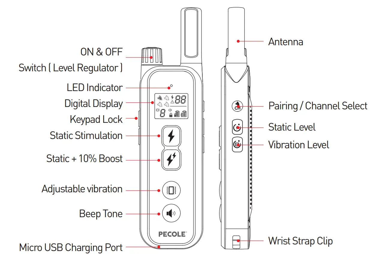 PECOLE ‎ PE-18 Dog Training Collar with Remote-10