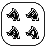 PECOLE ‎ PE-18 Dog Training Collar with Remote-20