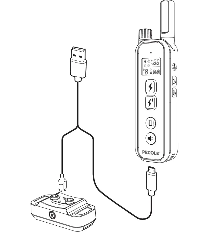 PECOLE ‎ PE-18 Dog Training Collar with Remote-22