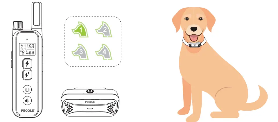 PECOLE ‎ PE-18 Dog Training Collar with Remote-29