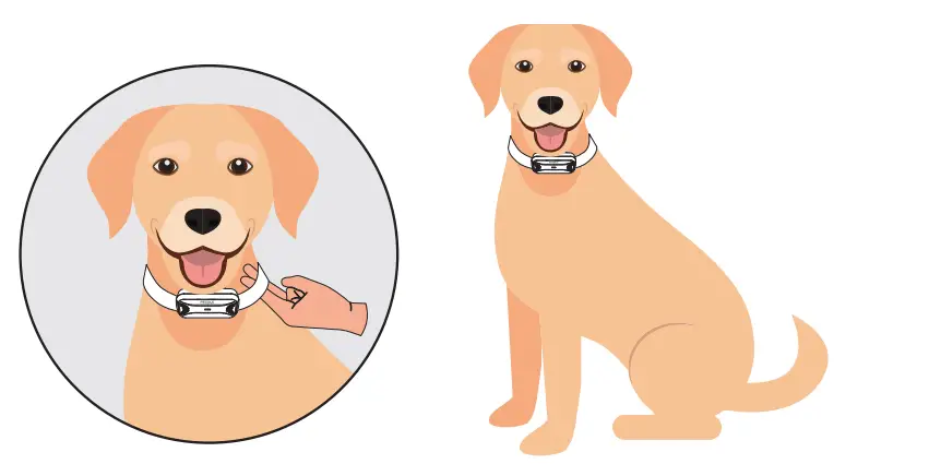 PECOLE ‎ PE-18 Dog Training Collar with Remote-30