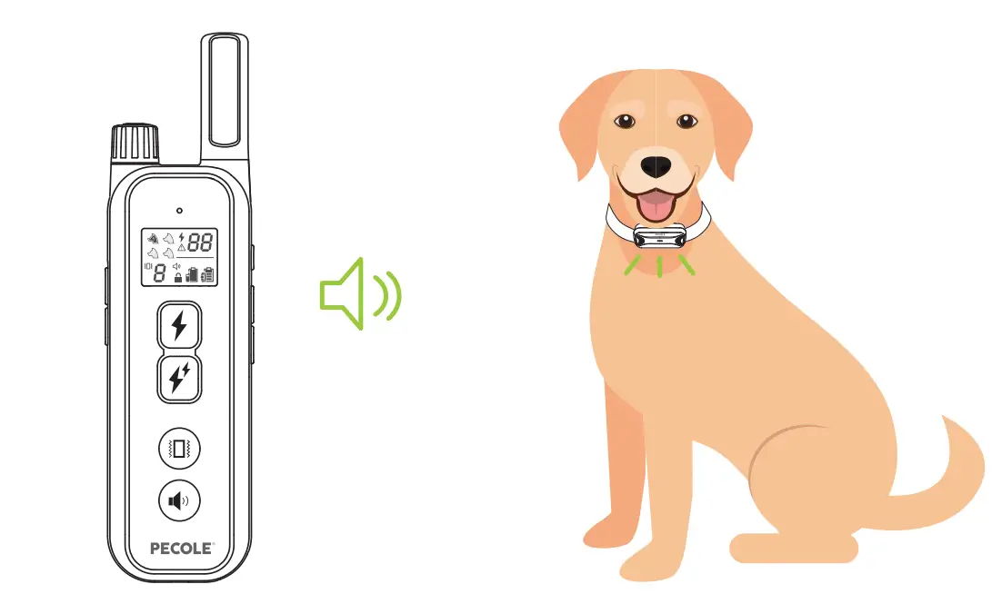 PECOLE ‎ PE-18 Dog Training Collar with Remote-33