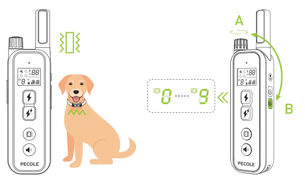 PECOLE ‎ PE-18 Dog Training Collar with Remote-34