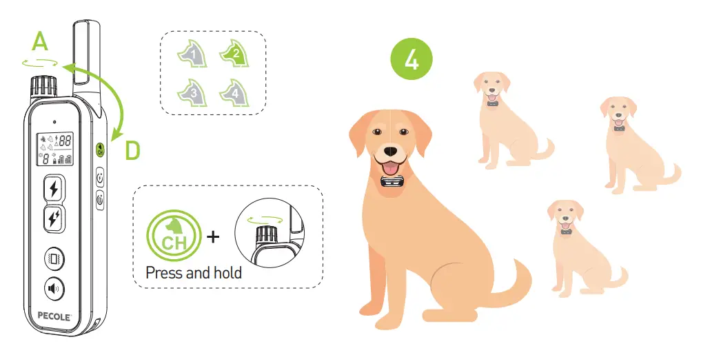 PECOLE ‎ PE-18 Dog Training Collar with Remote-36