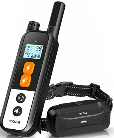 PECOLE ‎ PE-18 Dog Training Collar with Remote-PRODUCT