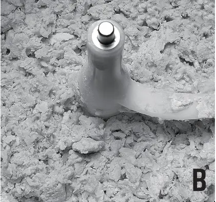 PM220A - Confirm The Condition of The Dough - B