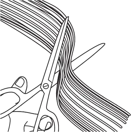 PM220A - How To Make Pasta 8