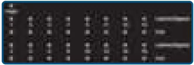 INTELLINET-560993-16-Port-Gigabit-Ethernet-PoE-Plus-Switch-02