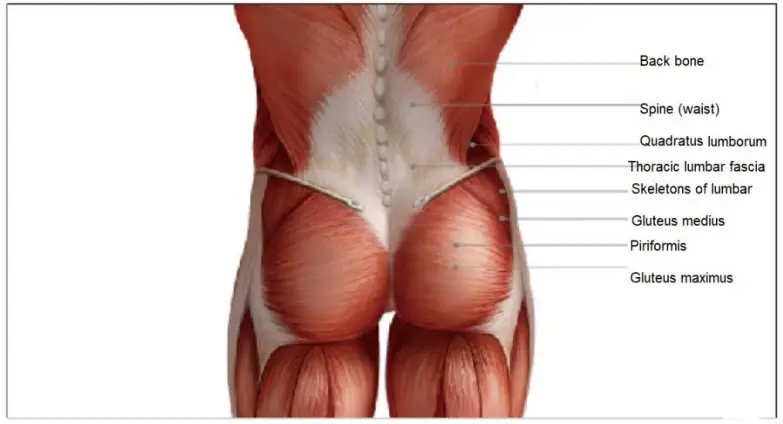 Kmart ITGM 03 Mini Massage Gun-User Guide2