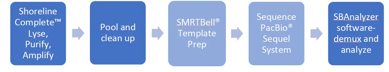 SHORELINE-BIOME-PacBio-Complete-StrainID-Kit-FIG-1