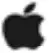 Apple icon