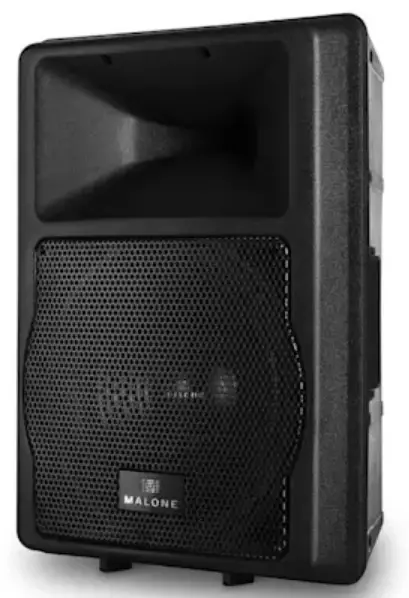 Auna-PRO-PW-EV-12A-Speaker-