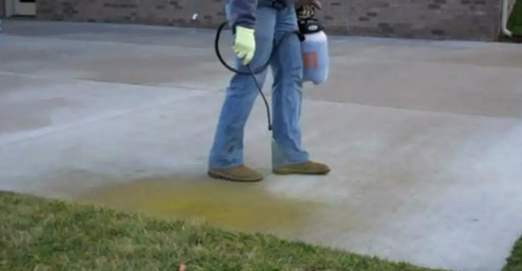 Chapin 22230xp 1-gallon Industrial Acid Staining Sprayer Instruction Manual Chapin 22230xp 1-gallon Industrial Acid Staining Sprayer Instruction Manual