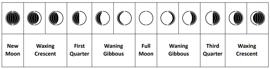 PROTMEX-PT20C-Weather-Station-Clock-FIG 22