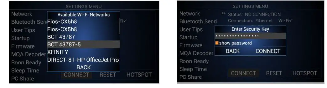 CARY AUDIO DMS-800 Network Audio Player fig5