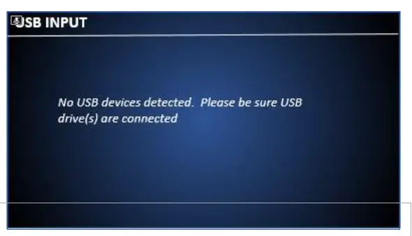 CARY AUDIO DMS-800 Network Audio Player fig7