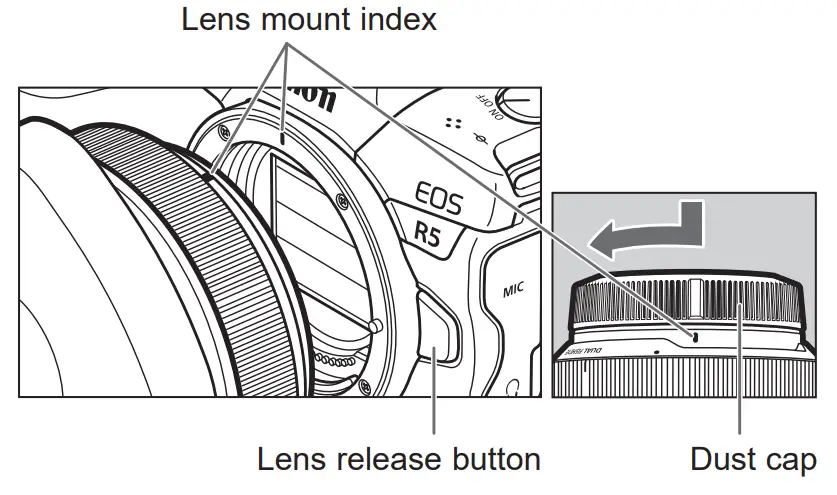 Canon 5554C002 Dual Fisheye Lens - fig 4
