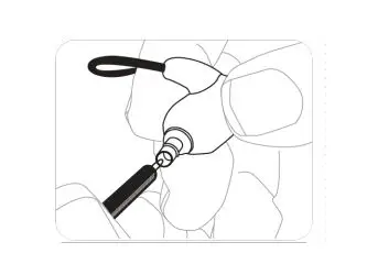 SHURE BT1 Bluetooth Earphones - To keep them sounding their best