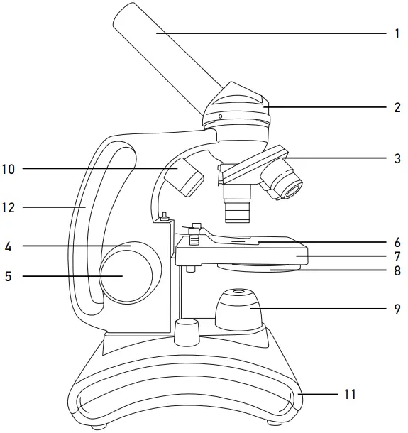 levenhuk Discovery Femto Microscopes - Overview