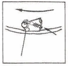 BRABER EQUIPMENT BE-TR300 Combination Tedder Rake FIG (4)