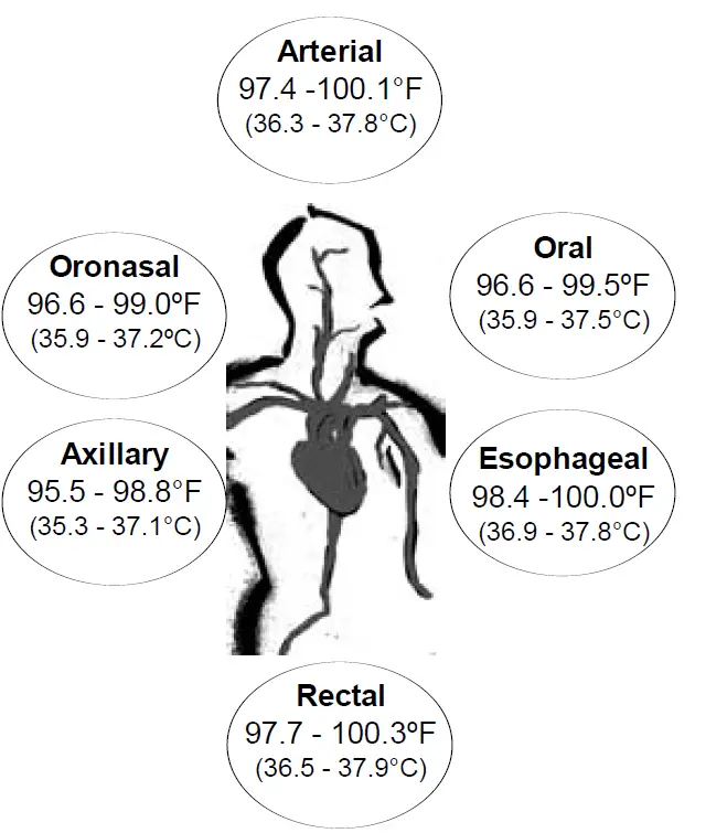 Exergen 2000C Temporal Scanner 10