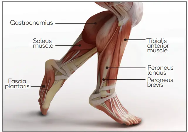 kogan KADPMSCMSGA Active Pro Deep Muscle Massage Gun -Foot
