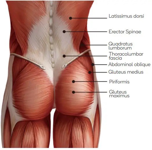 kogan KADPMSCMSGA Active Pro Deep Muscle Massage Gun -Waist