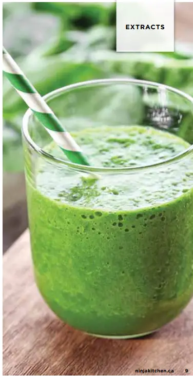 NINJA BN300WMC Nutri-Blender 700 Watt Personal Blender - Fig 4