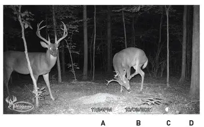 Wildgame INNOVATIONS SWTC2LO Trail Cameras Attractants-fig-13