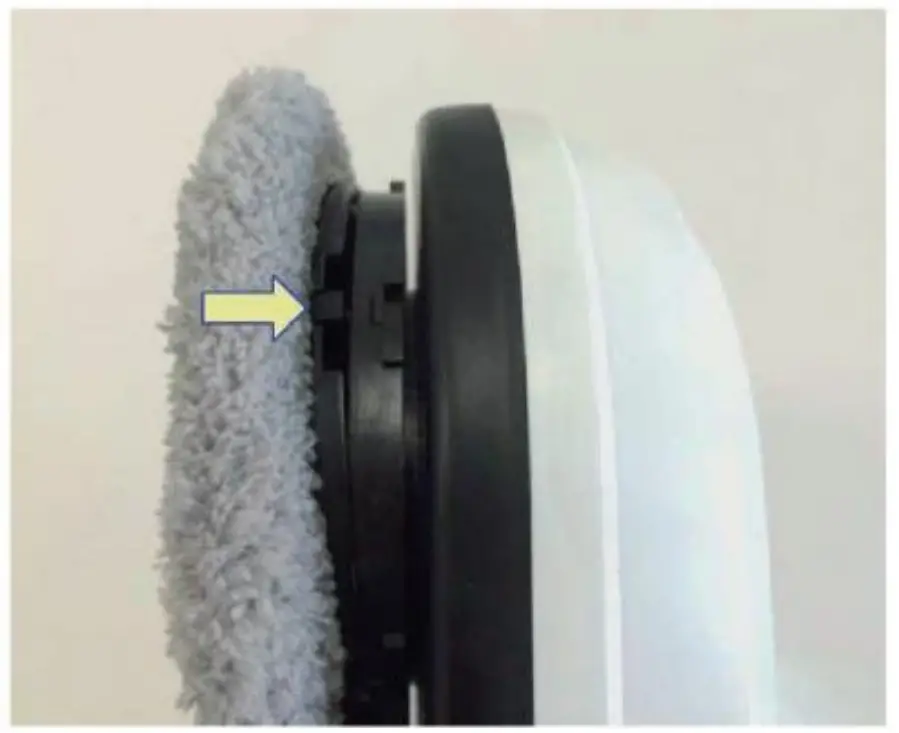 Install Clean Pad And Ring