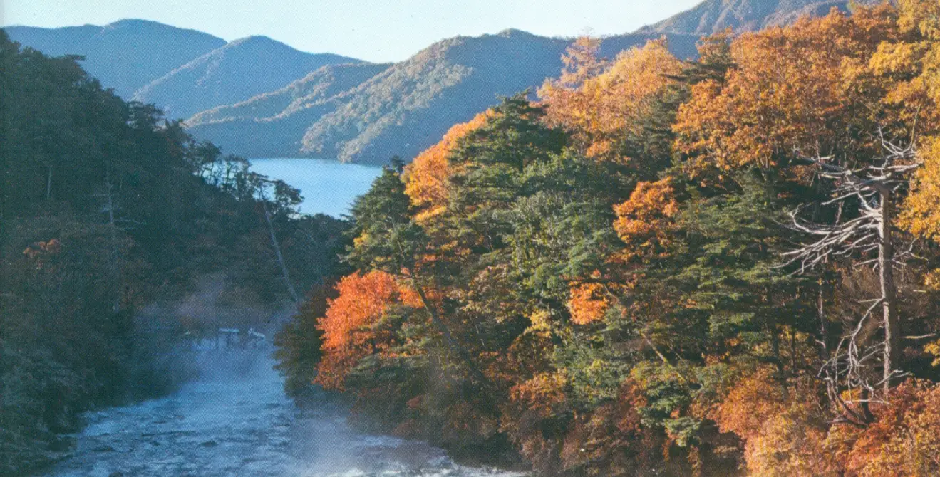 MINOLTA 16 MG-S Vintage Camera Lab - nature