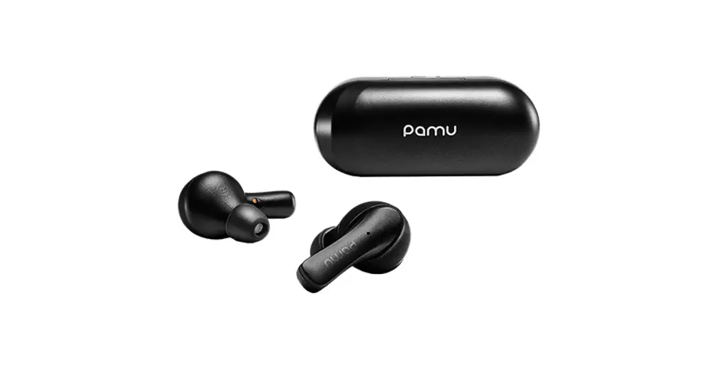 Pamu T11 Slide Mini Bluetooth 5.0 True Wireless Earbuds User Manual