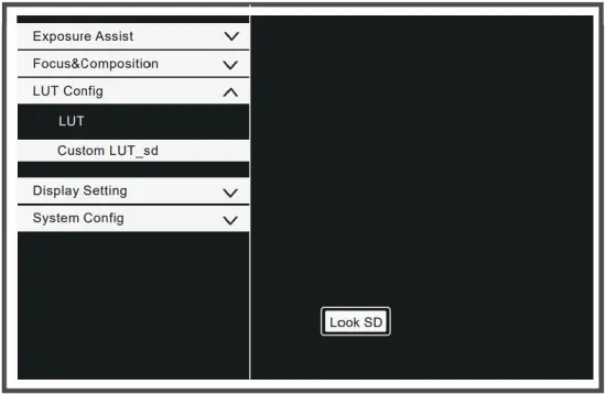 Desview N21 Pro - LUT Lead-in 2