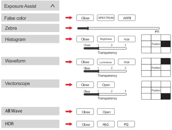 Desview N21 Pro - Menu 1