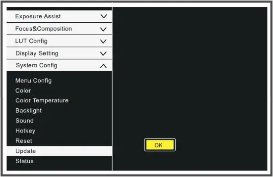 Desview N21 Pro - Upgrade 2