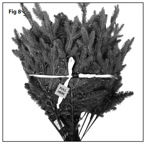 SELECTING COLOR & FUNCTION