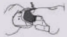 BALZY Manmower 3.0 Men's Body Trimmer - fig6